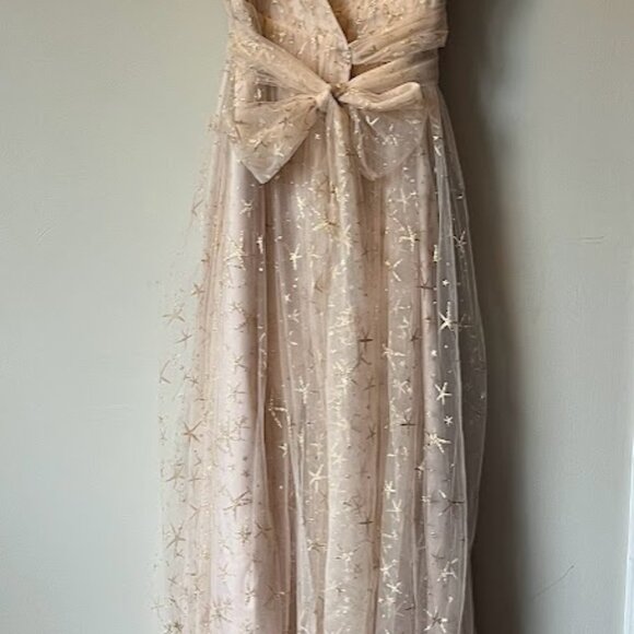 Joanna August - Lindsey Long Star Tulle Gown (NWT) - Picture 4 of 9